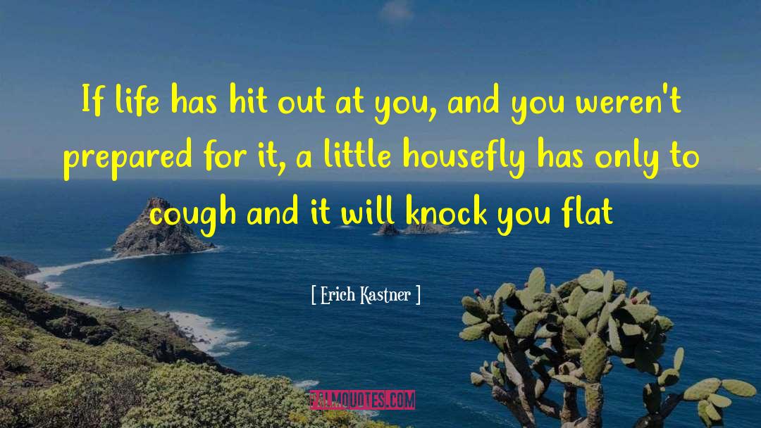 Housefly quotes by Erich Kastner