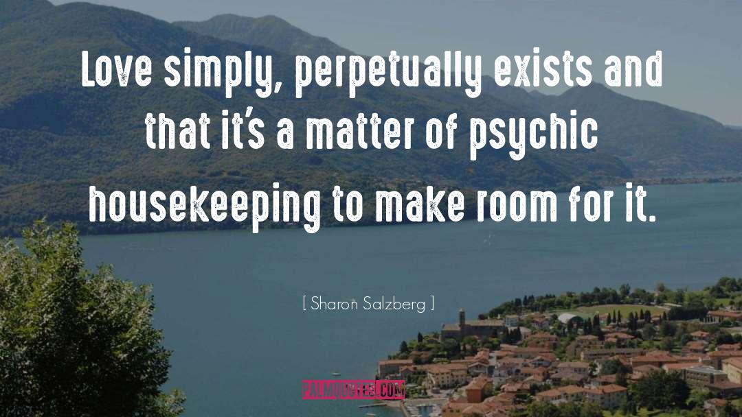 Housekeeping quotes by Sharon Salzberg