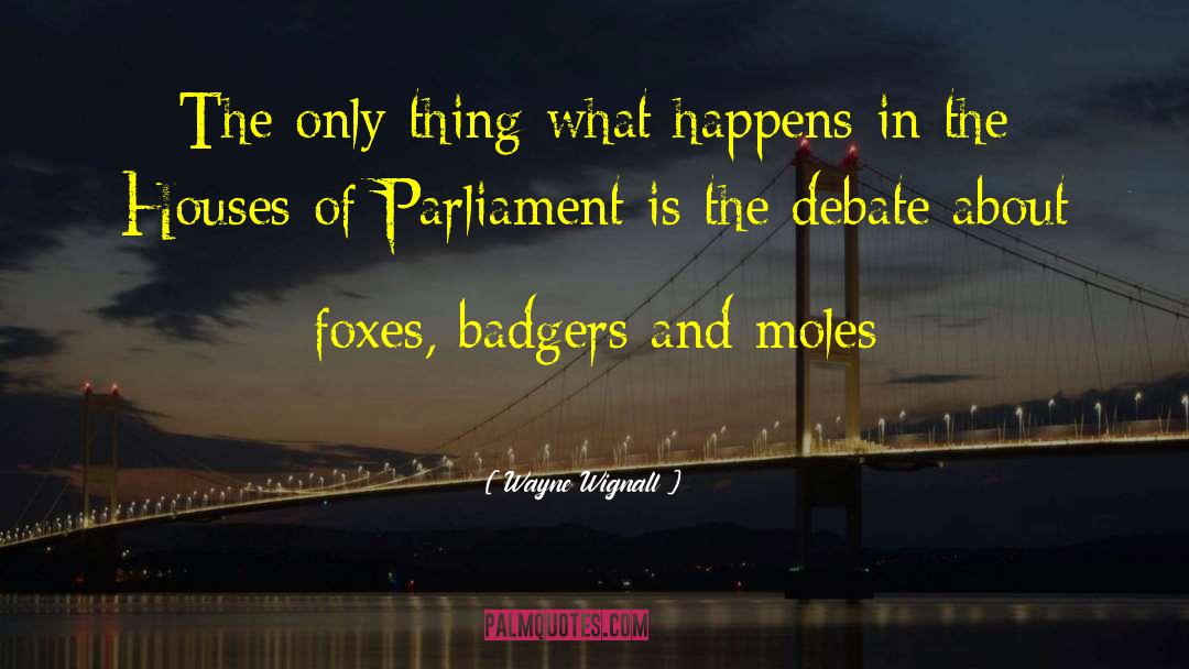 Houses Of Parliament quotes by Wayne Wignall