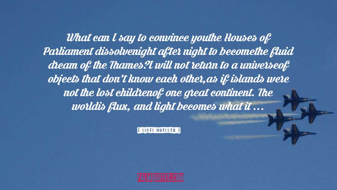 Houses Of Parliament quotes by Lisel Mueller