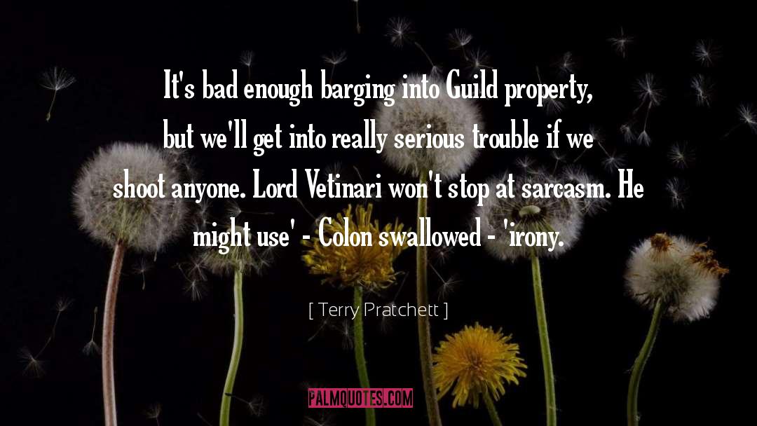 Housewife Sarcasm quotes by Terry Pratchett