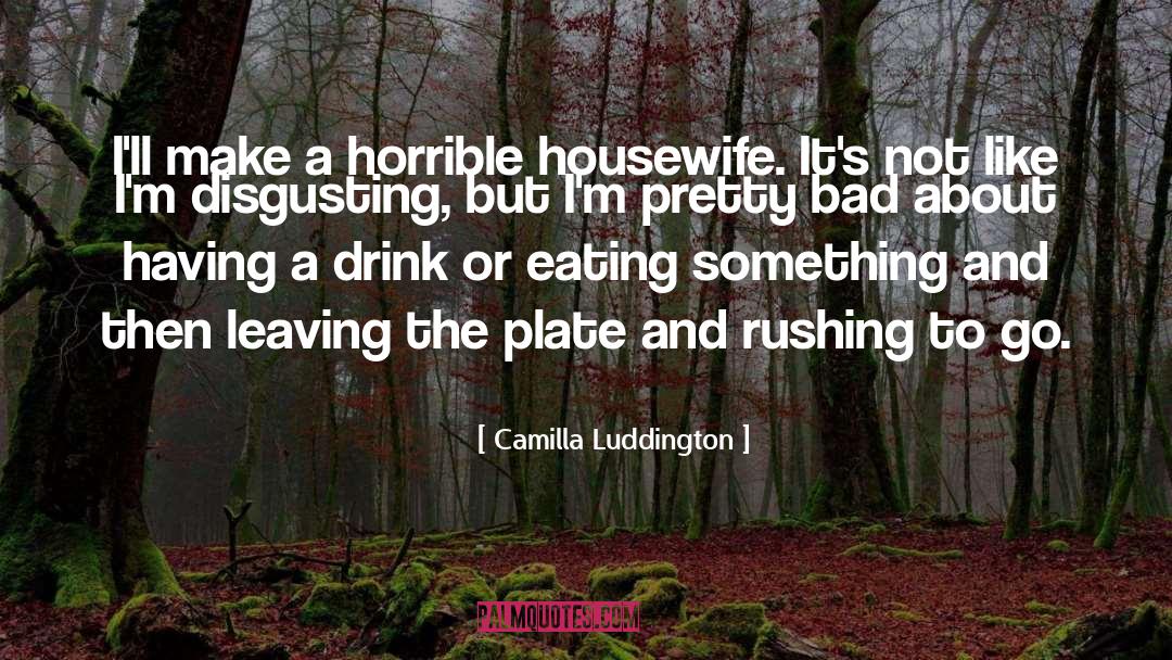 Housewife Sarcasm quotes by Camilla Luddington