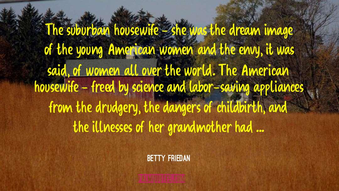 Housewife Sarcasm quotes by Betty Friedan