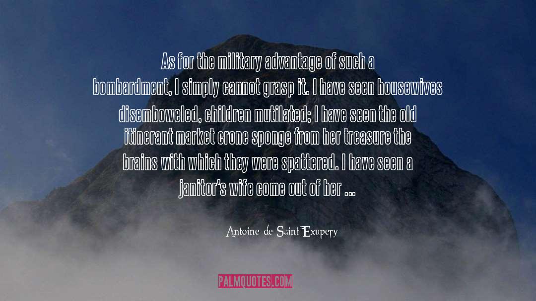 Housewives quotes by Antoine De Saint Exupery