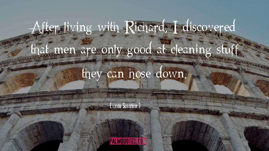 Housework quotes by Linda Sunshine