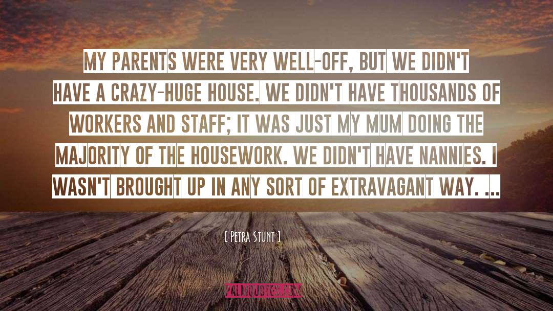 Housework quotes by Petra Stunt