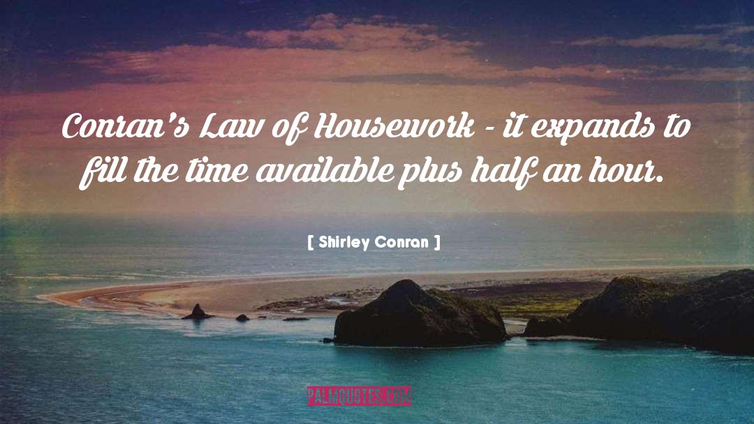 Housework quotes by Shirley Conran