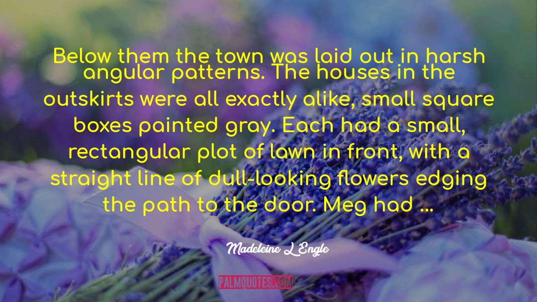 Housing And Development quotes by Madeleine L'Engle