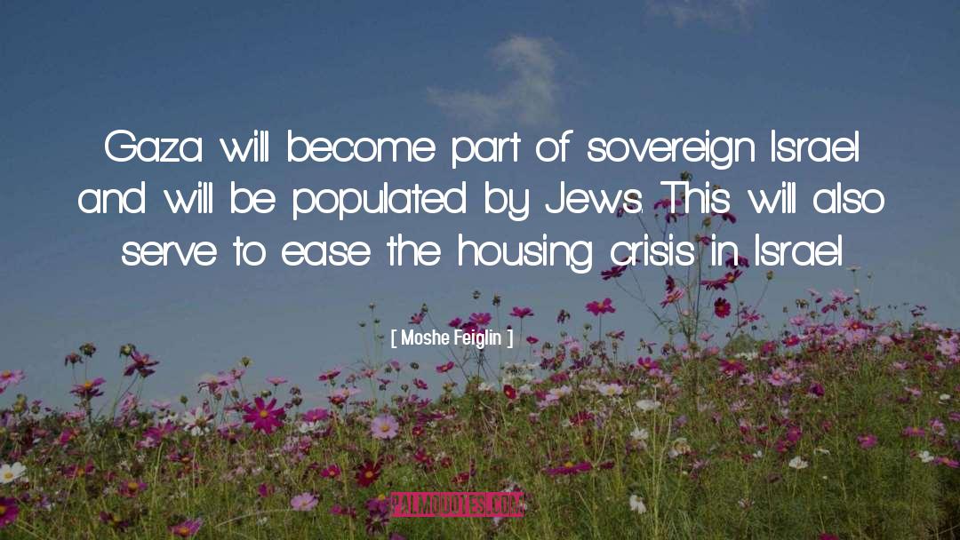 Housing Provision quotes by Moshe Feiglin