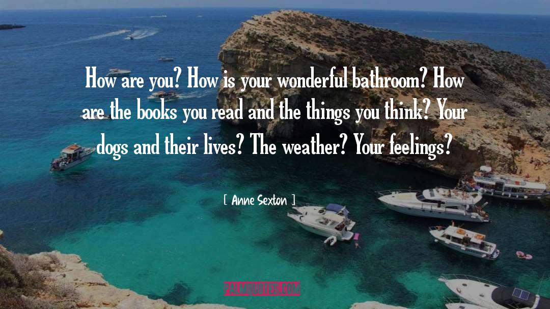 How Are You quotes by Anne Sexton
