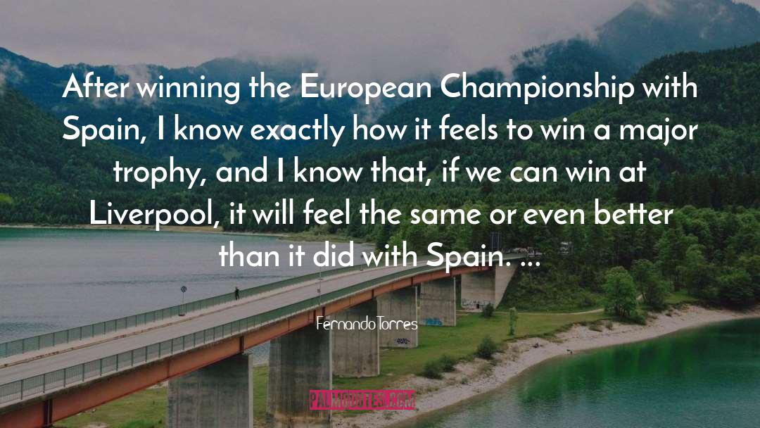 How Can We Win Without Pain quotes by Fernando Torres