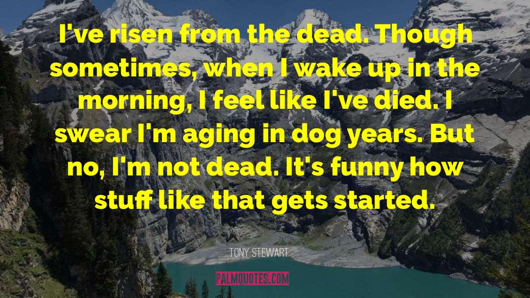 How Do You Wake Up Dead Movie Quote quotes by Tony Stewart