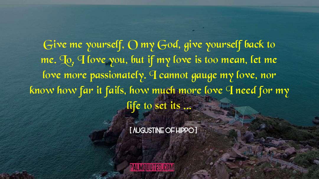 How Far You 27ve Come quotes by Augustine Of Hippo