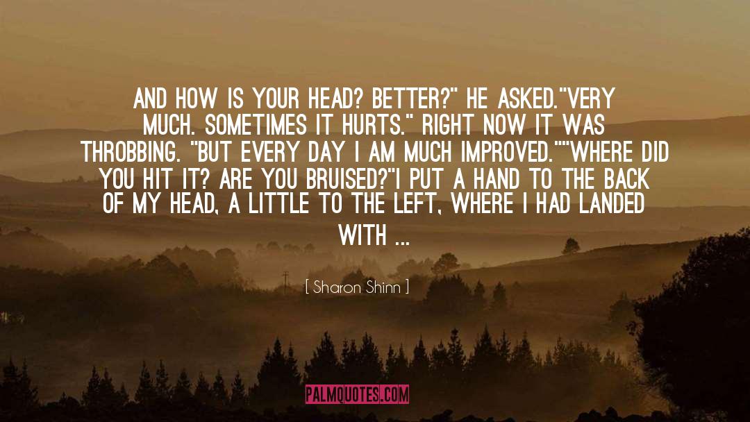 How Hard Did You Hit Your Head quotes by Sharon Shinn