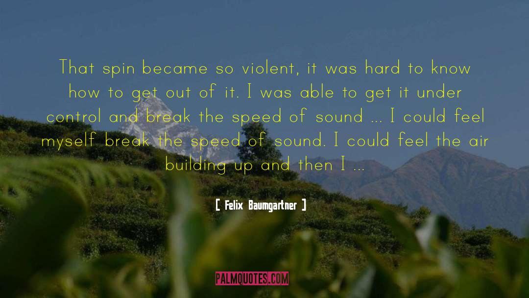 How I Became Stupid quotes by Felix Baumgartner