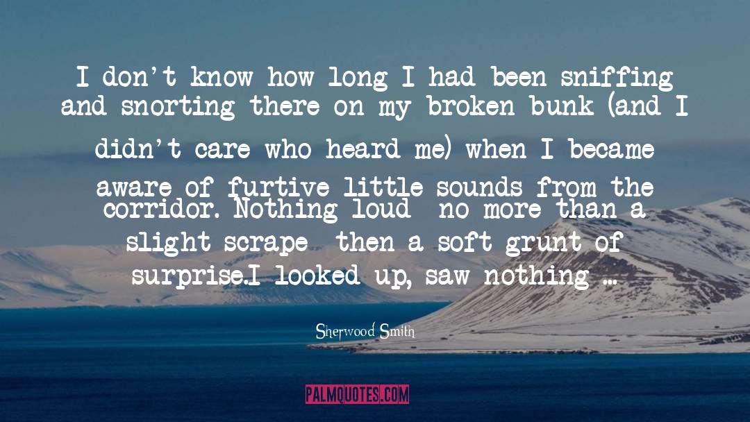 How I Became The Sea quotes by Sherwood Smith