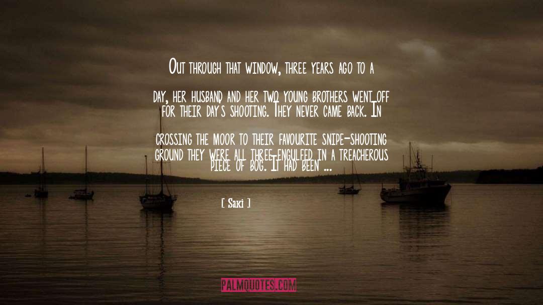 How I Became The Sea quotes by Saki