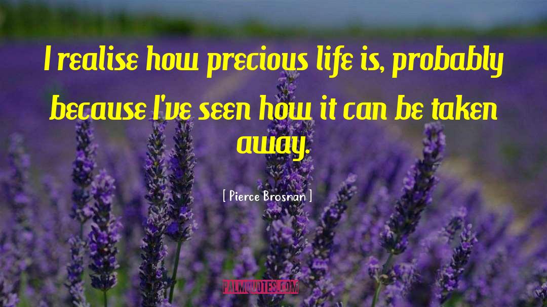 How Precious Life Is quotes by Pierce Brosnan