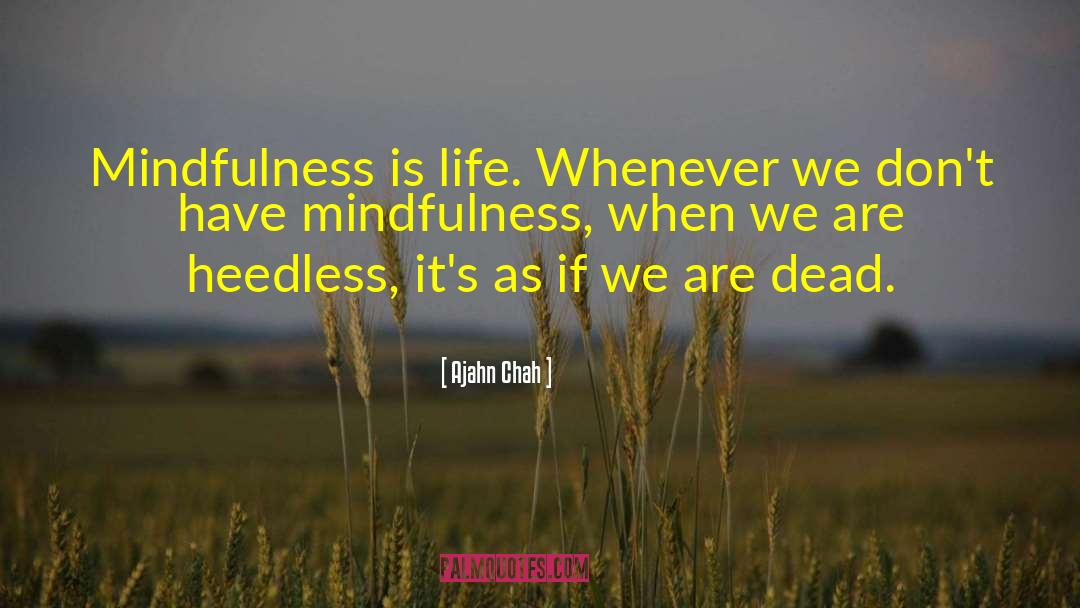 How Precious Life Is quotes by Ajahn Chah