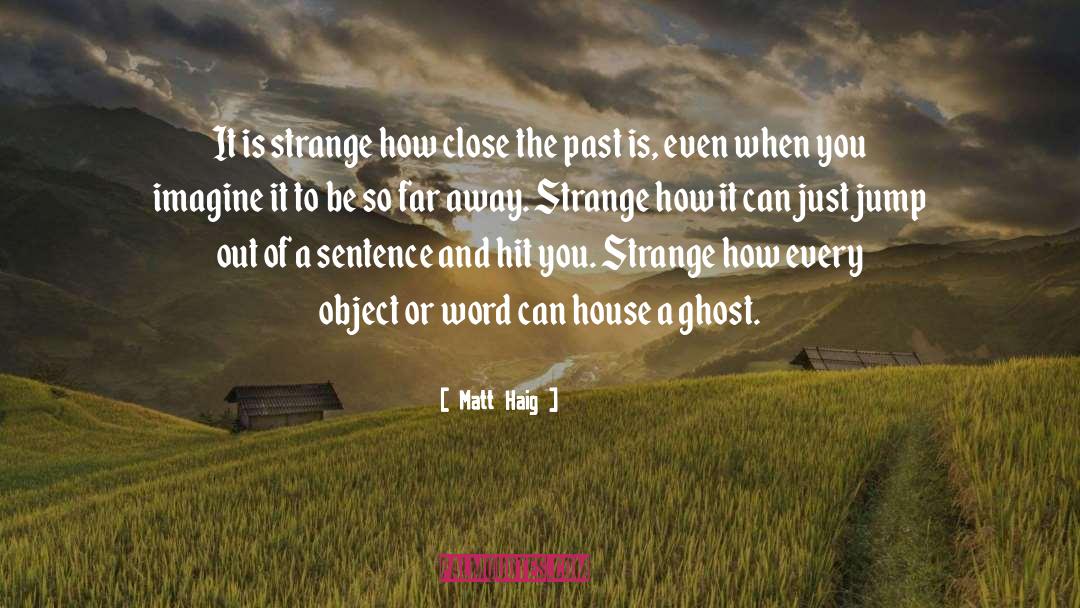 How Strange Is Life quotes by Matt Haig