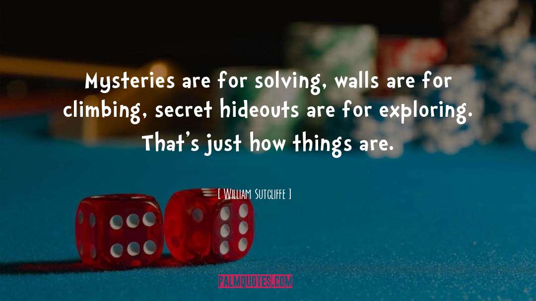 How Things Work quotes by William Sutcliffe