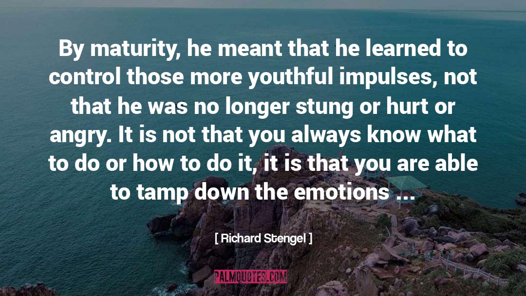 How To Forgive quotes by Richard Stengel