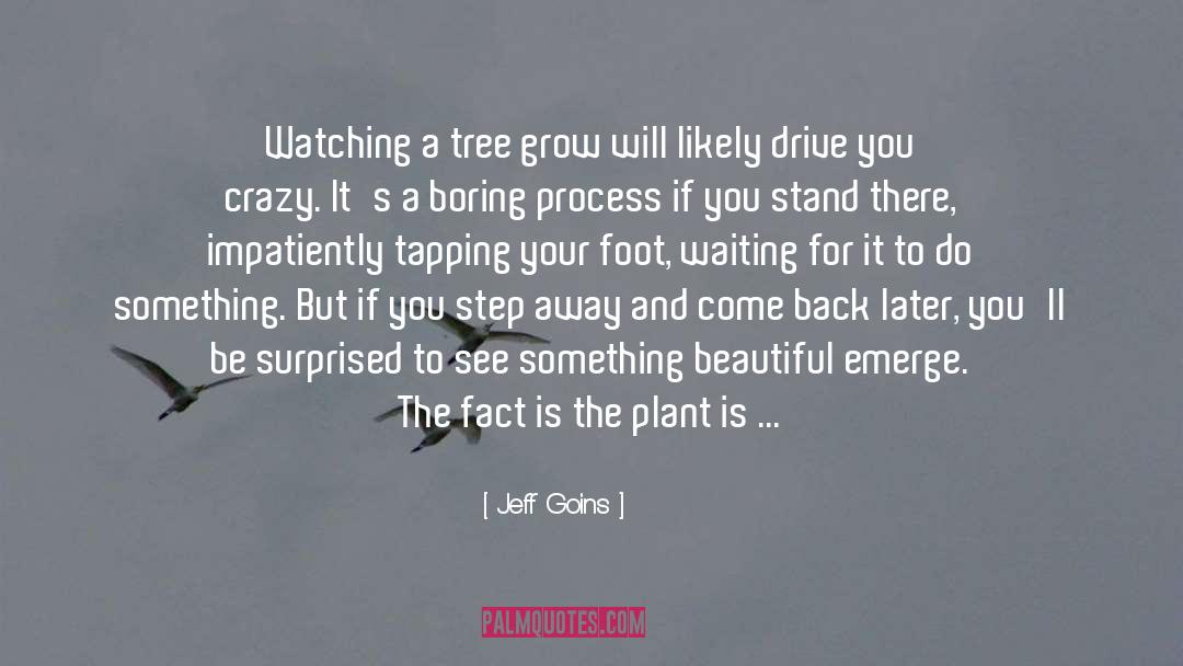 How To Grow quotes by Jeff Goins