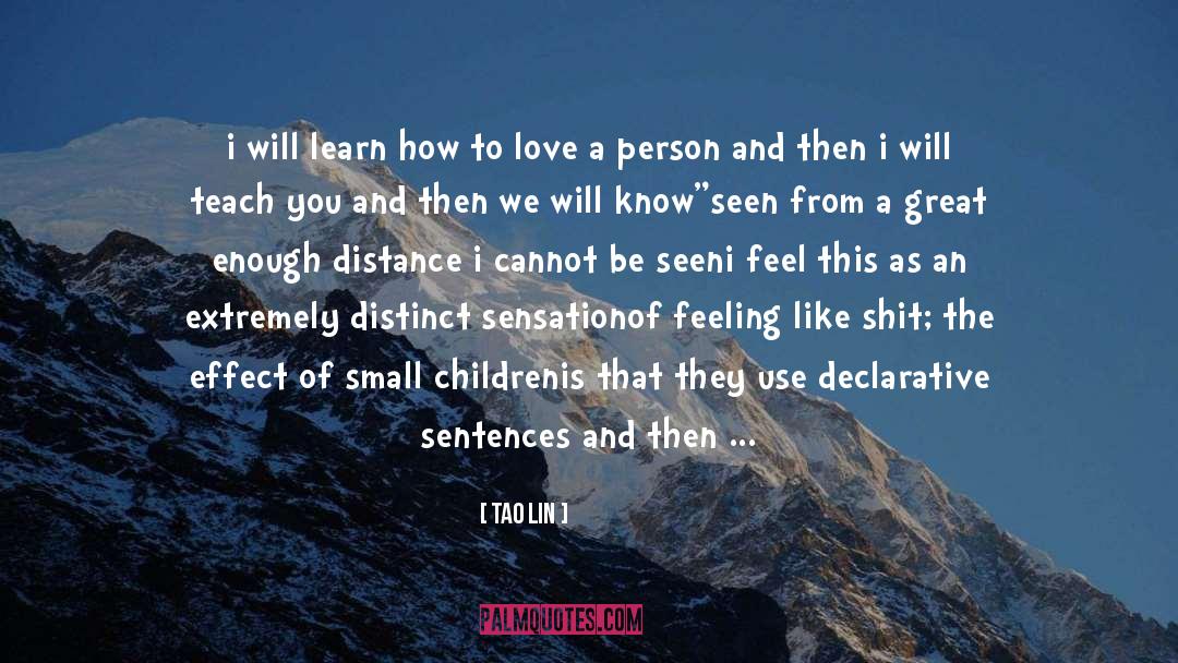How To Love A Person quotes by Tao Lin