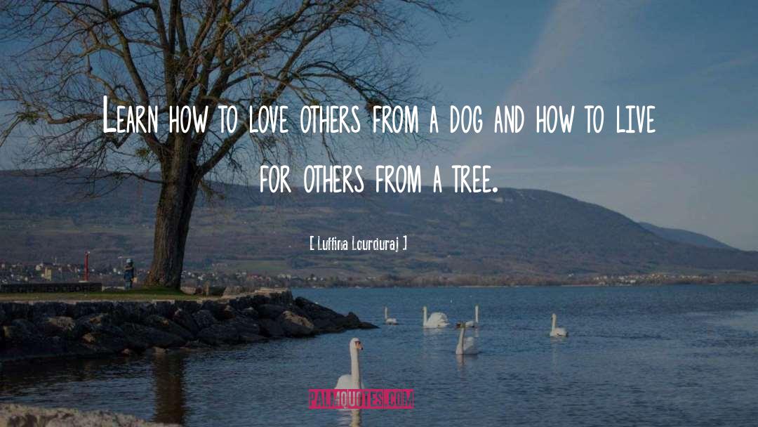 How To Love Quote quotes by Luffina Lourduraj