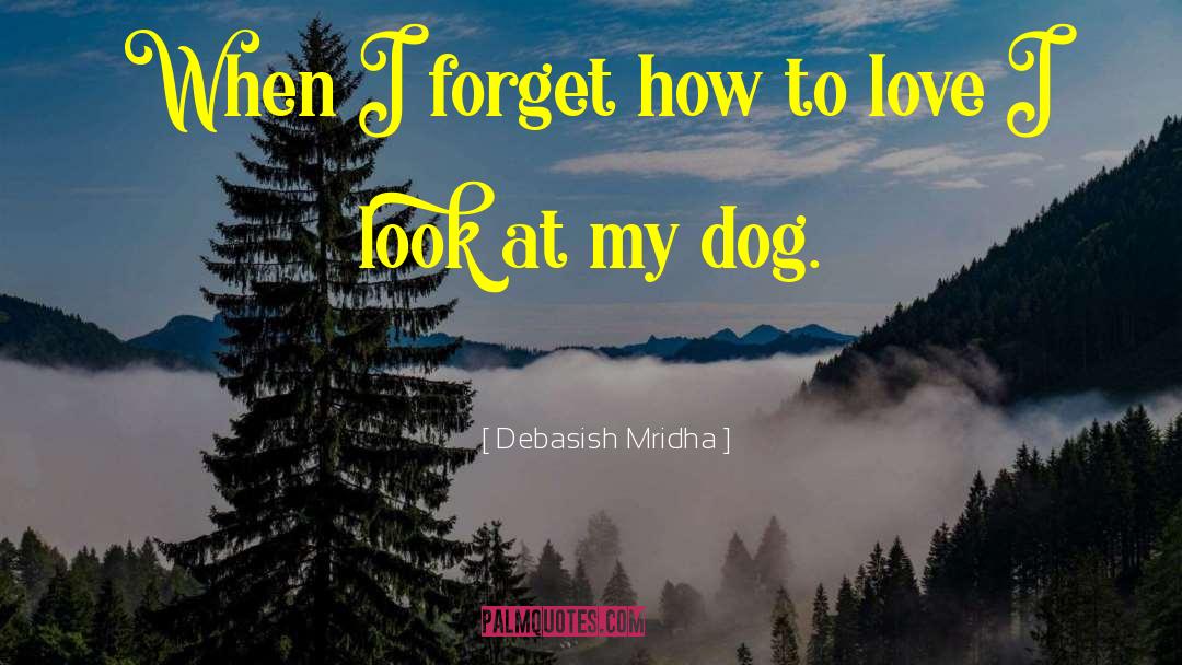 How To Love quotes by Debasish Mridha