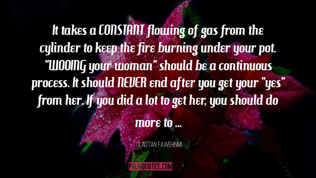 How To Make A Woman Love You quotes by Olaotan Fawehinmi