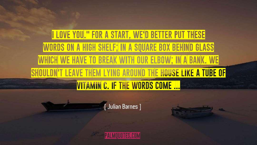 How To Make Peace quotes by Julian Barnes