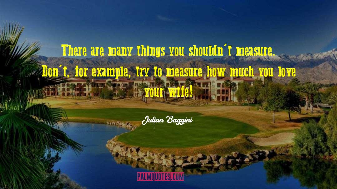 How To Measure Your Life quotes by Julian Baggini