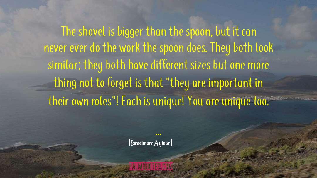 How Unique You Are quotes by Israelmore Ayivor