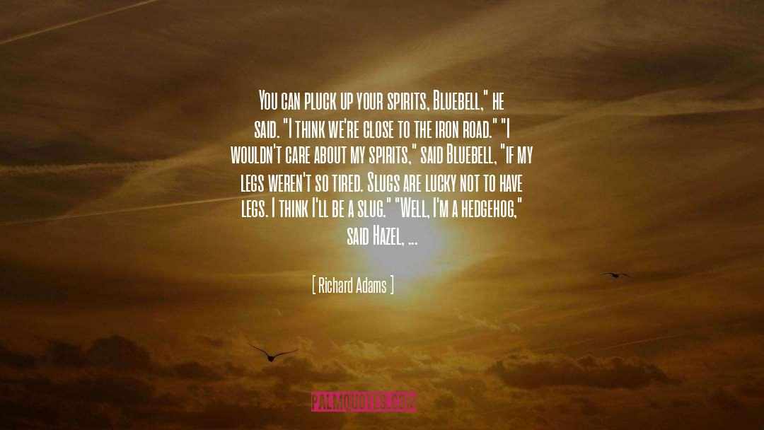 How You Feel About The World quotes by Richard Adams