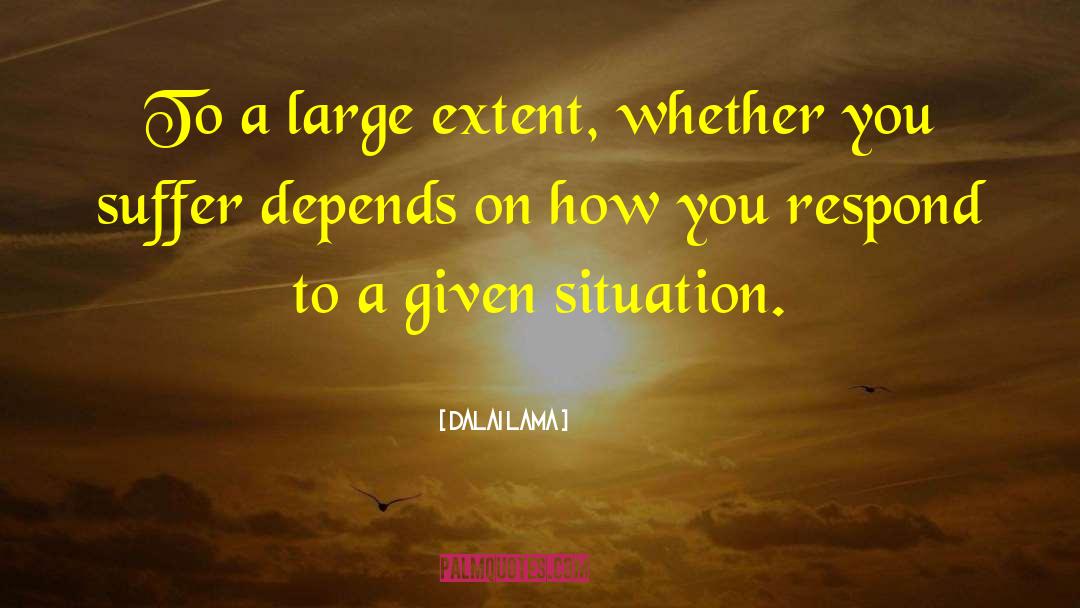 How You Respond quotes by Dalai Lama