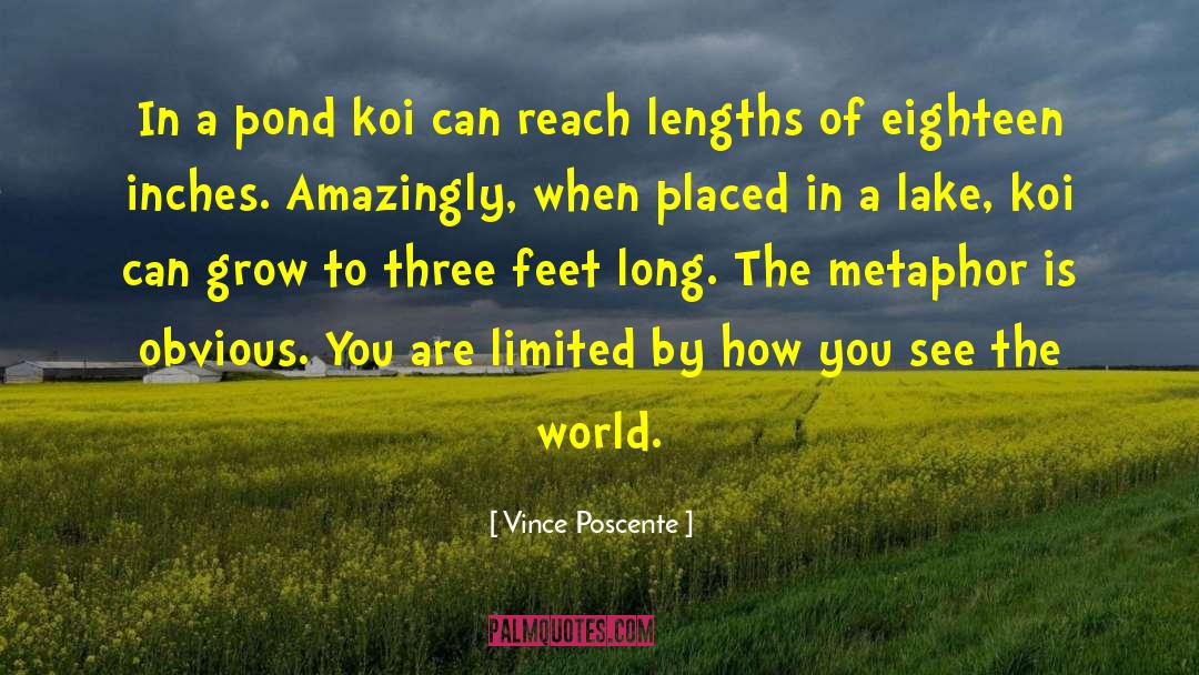 How You See The World quotes by Vince Poscente