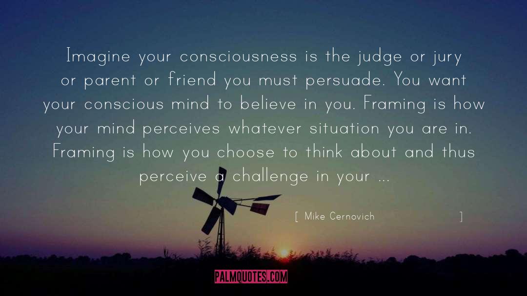 How Your Surroundings Affect You quotes by Mike Cernovich