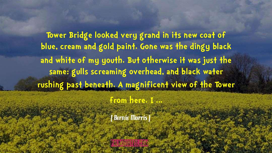 Howards End quotes by Bernie Morris