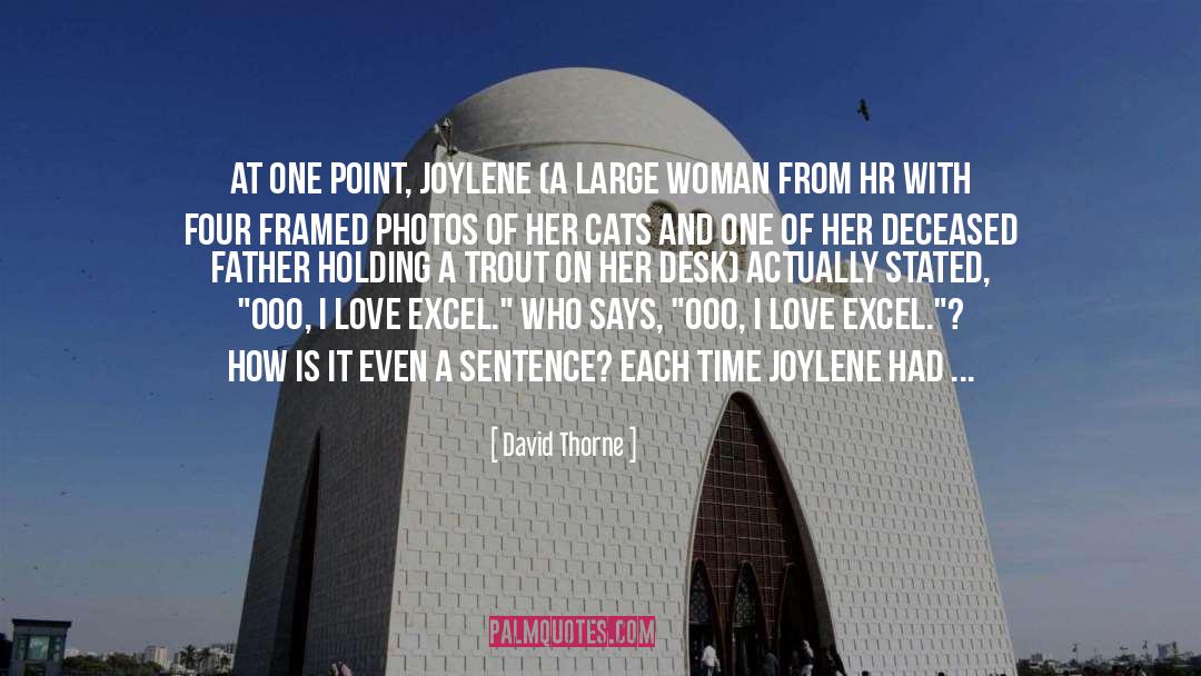 Hr quotes by David Thorne