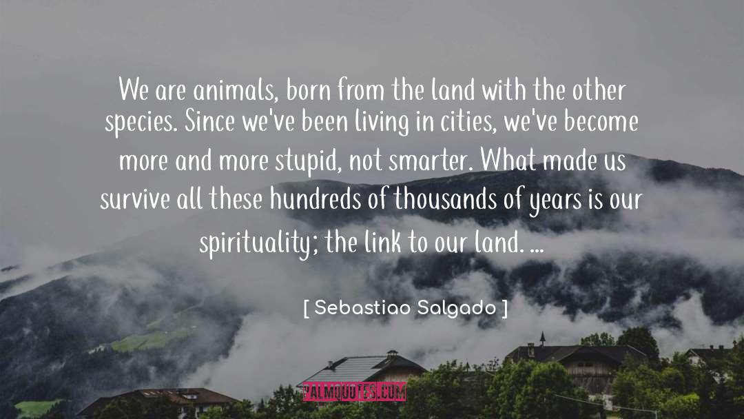 Hub Links quotes by Sebastiao Salgado