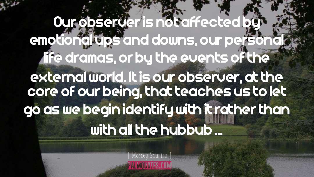 Hubbub quotes by Marcey Shapiro