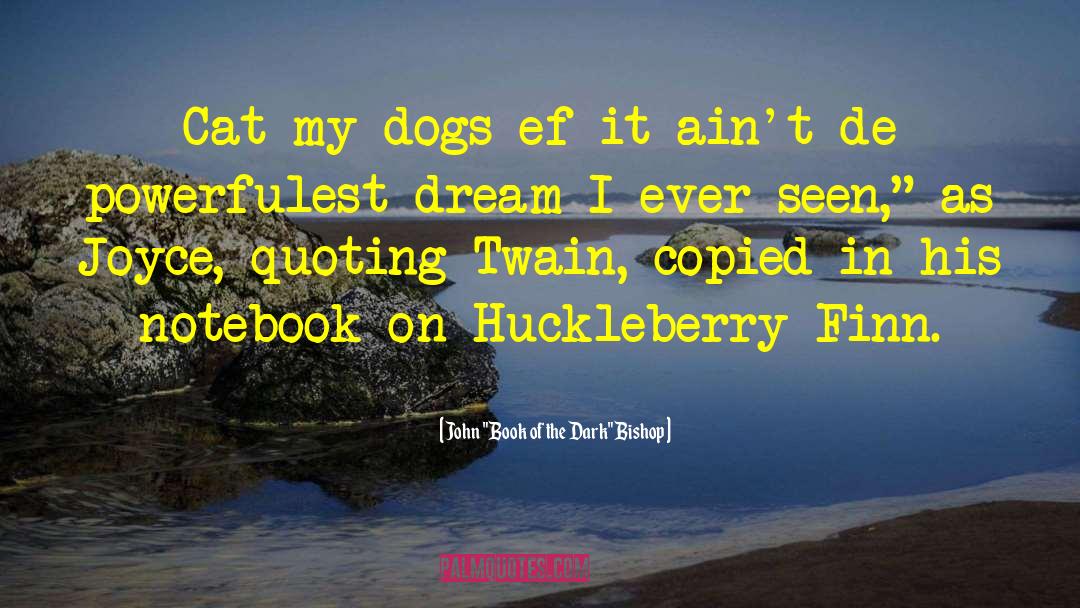 Huckleberry quotes by John 