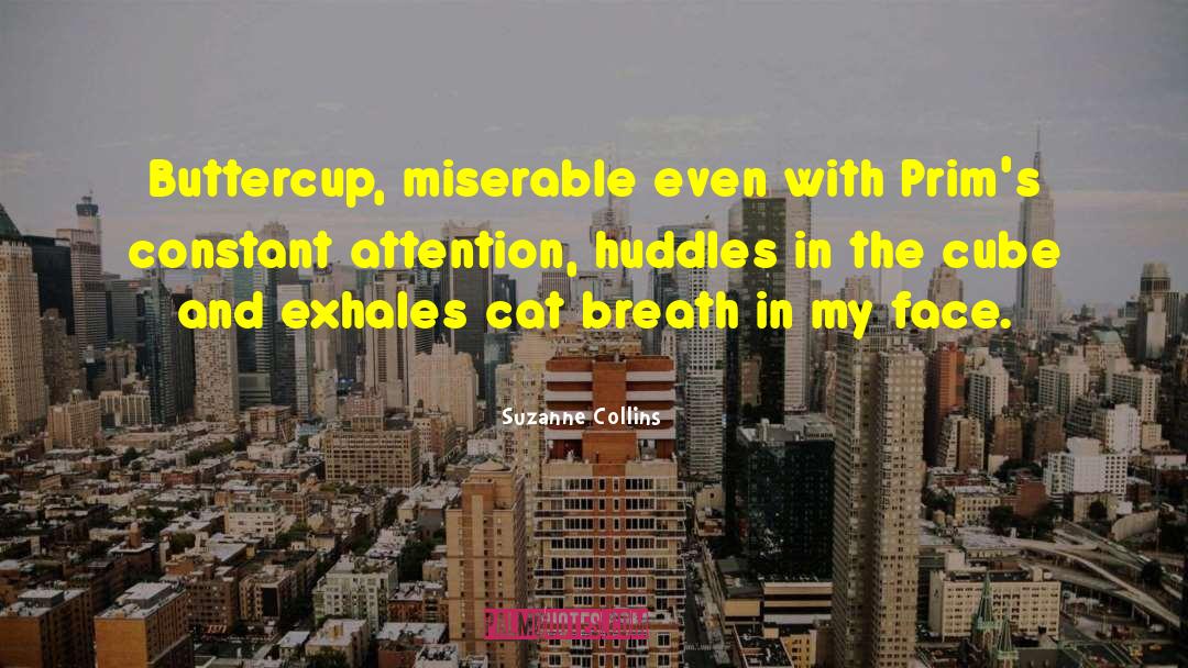 Huddles Tire quotes by Suzanne Collins