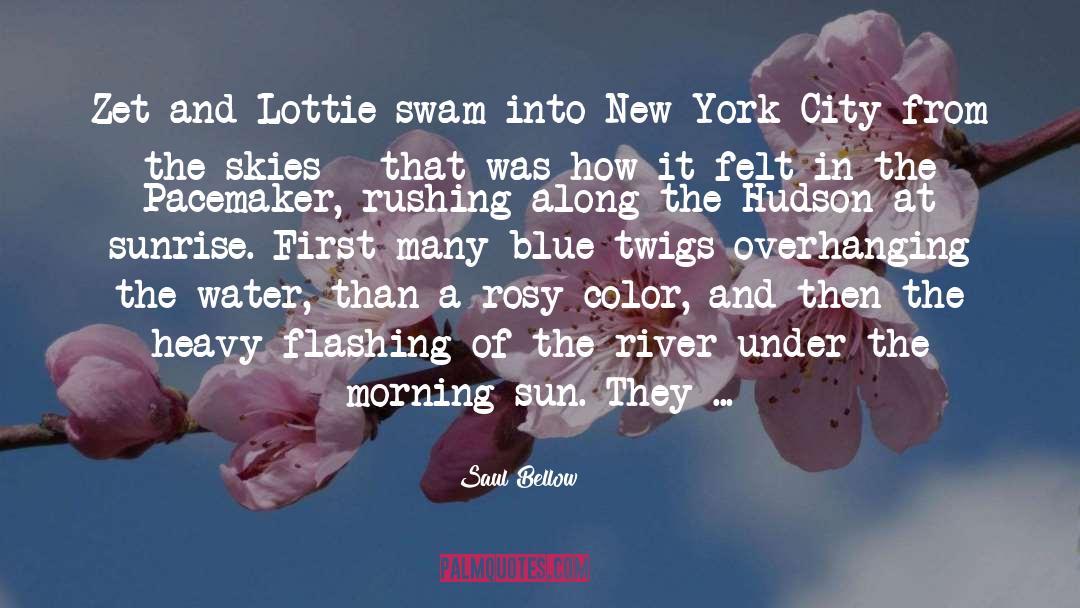 Hudson River Expedition quotes by Saul Bellow