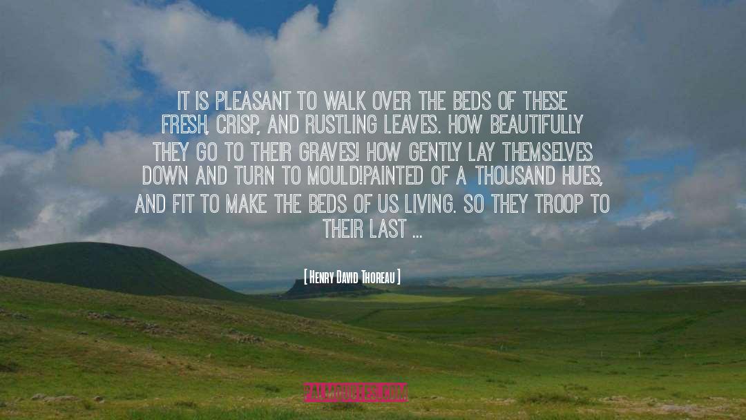 Hues quotes by Henry David Thoreau