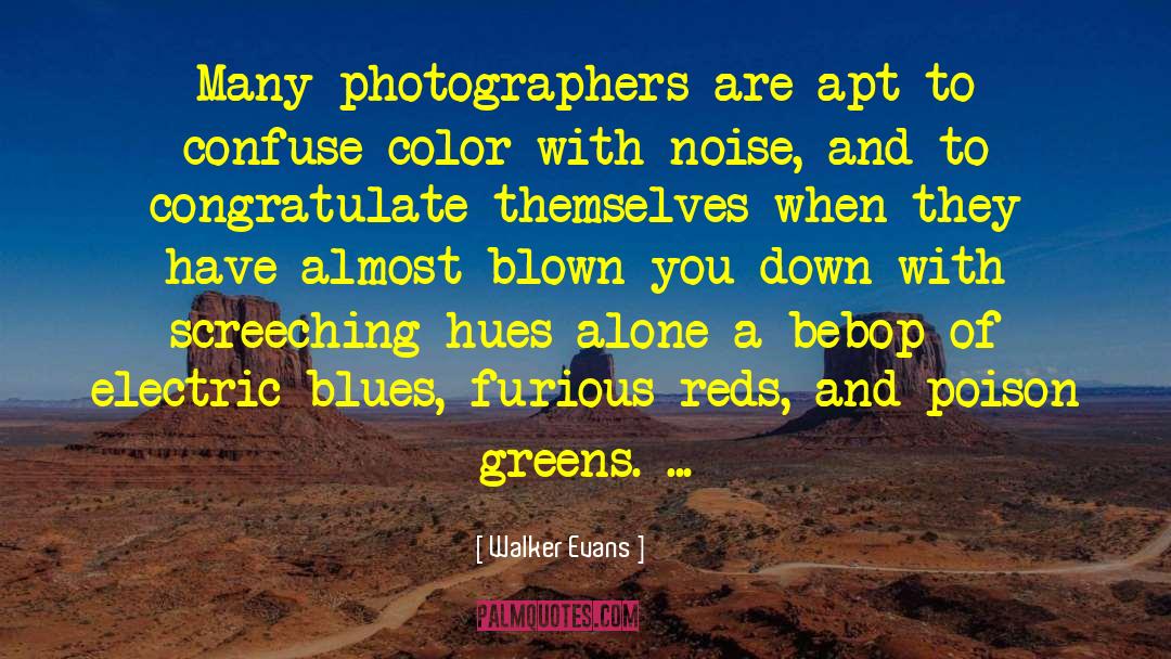 Hues quotes by Walker Evans