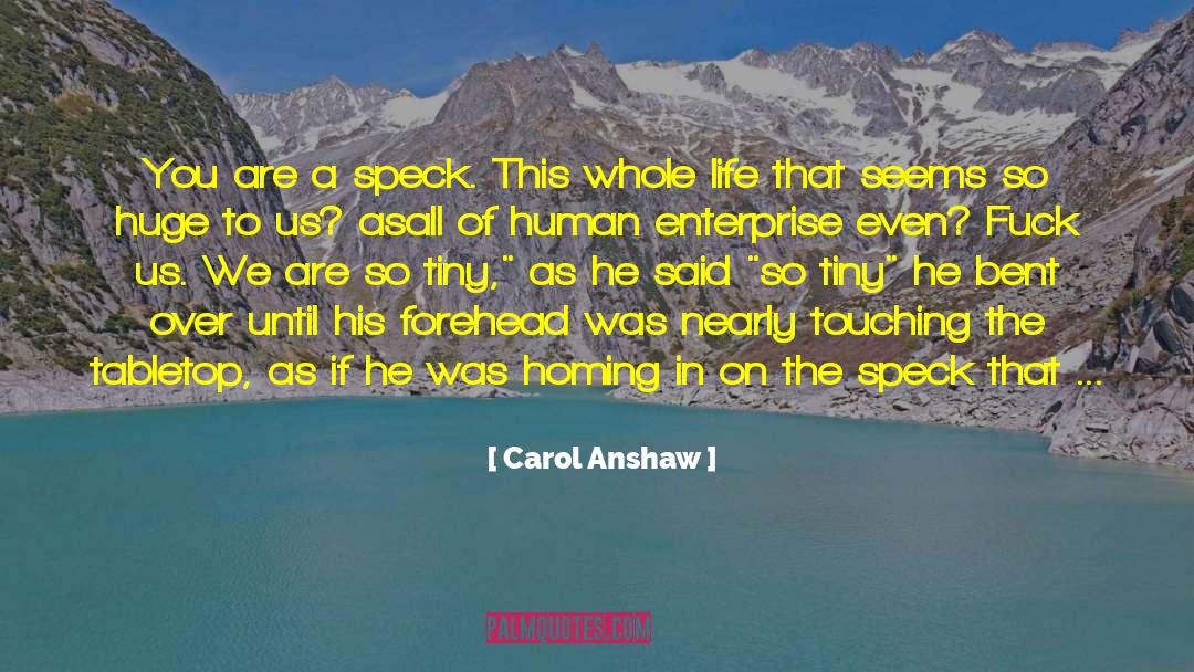 Huge Changes quotes by Carol Anshaw