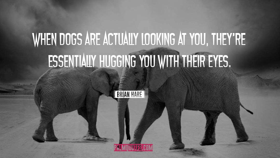 Hugging quotes by Brian Hare