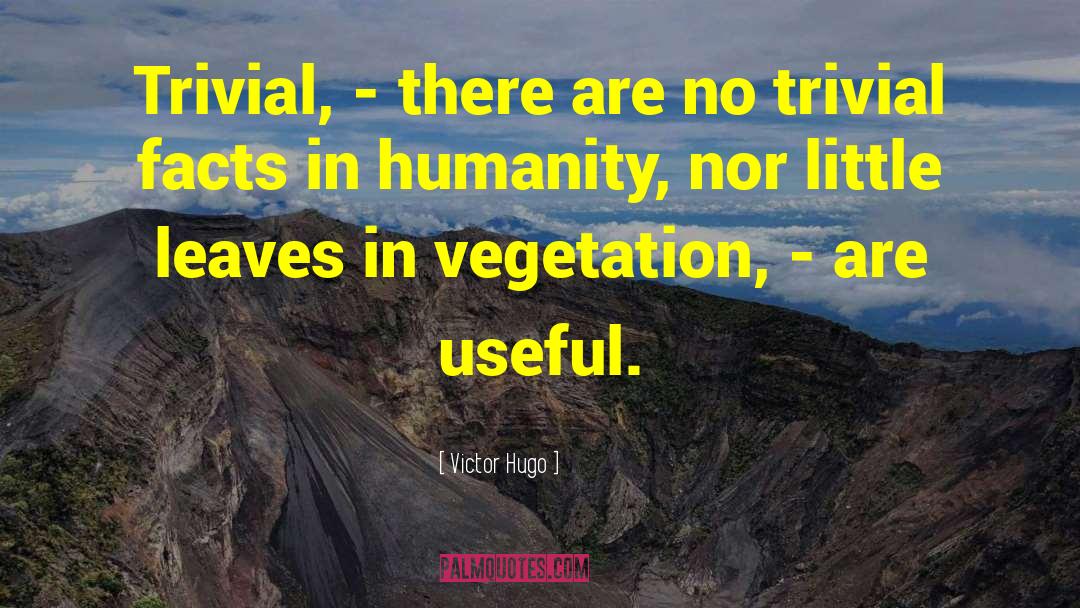 Hugo Chavez quotes by Victor Hugo